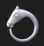 horse ring 1
